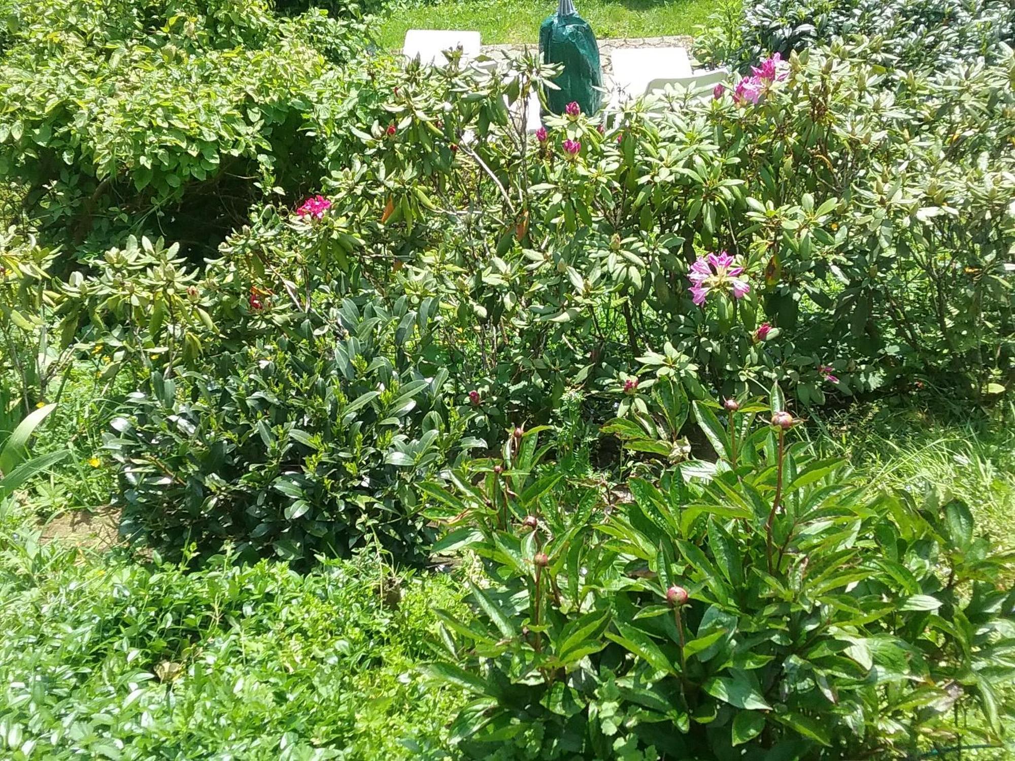 蒙绍Perlenbachtal公寓 外观 照片